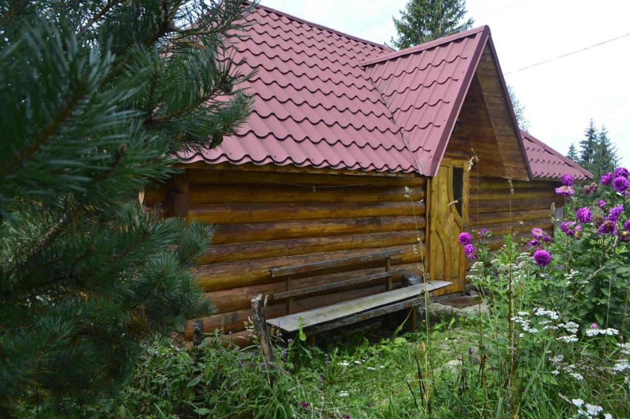 Villa Maria Jablunytsja Eksteriør bilde